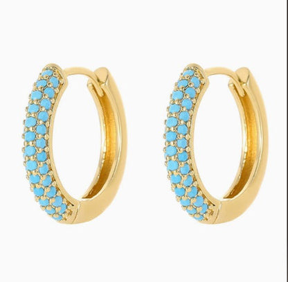 Premium Charming Turquoise Earrings