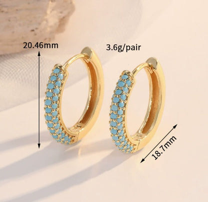 Premium Charming Turquoise Earrings